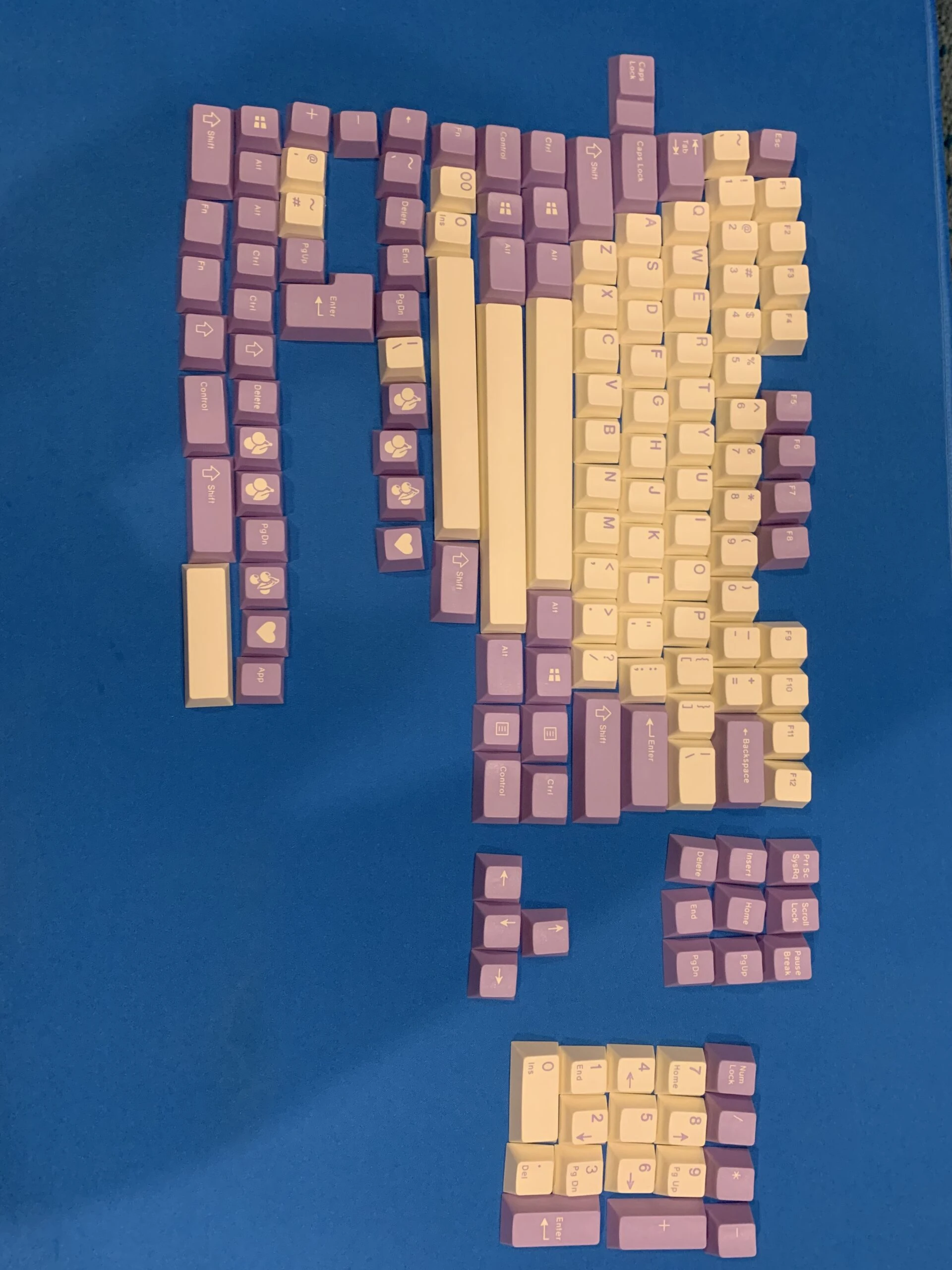 None EPBT Milky & Purple